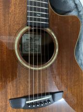 James Goodall Mh CJC Mh 5269 オールマホガニー!L.R Baggs Lyric ピックアップ付き!_3