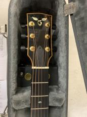 James Goodall Mh CJC Mh 5269 オールマホガニー!L.R Baggs Lyric ピックアップ付き!_6