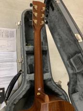 James Goodall Mh CJC Mh 5269 オールマホガニー!L.R Baggs Lyric ピックアップ付き!_10