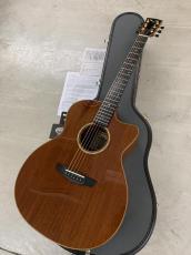 James Goodall Mh CJC Mh 5269 オールマホガニー!L.R Baggs Lyric ピックアップ付き!_15