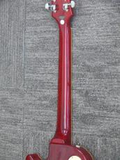 Epiphone Les Paul 1960 Tribute plus CS【2016年頃製】_8