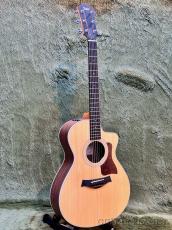 Taylor 212ce Walnut #2206275355【48回迄金利0%対象】【送料当社負担】_2