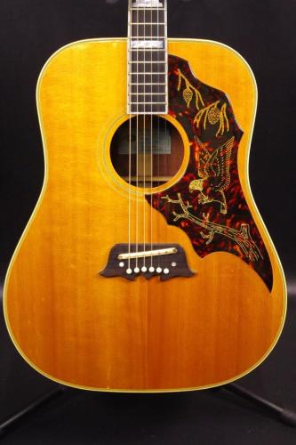 Epiphone Excellente FT-120