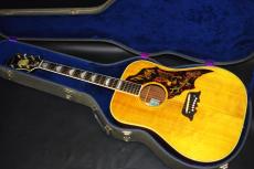 Epiphone Excellente FT-120_2