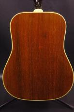 Epiphone Excellente FT-120_3