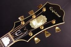 Epiphone Excellente FT-120_4