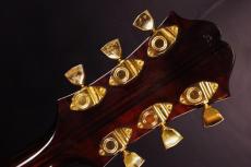 Epiphone Excellente FT-120_5