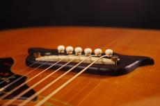 Epiphone Excellente FT-120_6