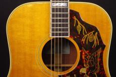 Epiphone Excellente FT-120_8