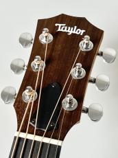 Taylor Taylor GS Mini-e Special Edition Sakura Burst #2203275147 【送料当社負担・最大48回分割無金利】_5