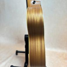 Taylor 【限定モデル】GS Mini-e Fuchsia Pink Paisley #2203315207 【送料当社負担・最大48回分割無金利】_5