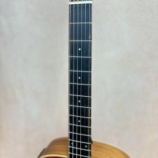 Taylor 【限定モデル】GS Mini-e Fuchsia Pink Paisley #2203315207 【送料当社負担・最大48回分割無金利】_6