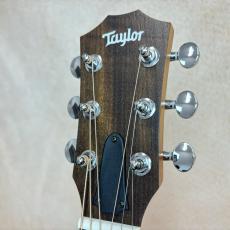 Taylor 【限定モデル】GS Mini-e Fuchsia Pink Paisley #2203315207 【送料当社負担・最大48回分割無金利】_8