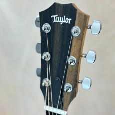 Taylor 【最初の一本にもおススメ!!】214ce Walnut #2202215377 【送料当社負担・最大48回分割無金利】_8