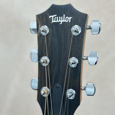 Taylor 【初心者の方にもおススメ】210ce RW #2203122076 【送料当社負担・最大48回分割無金利】_8
