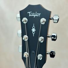 Taylor 312ce 【送料当社負担・最大48回分割無金利】_6