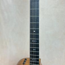 Taylor 【試奏動画あり】724ce Gloss 【送料当社負担・最大48回分割無金利】_6