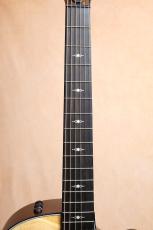 Taylor 【試奏動画あり・定番モデル】314ce  V-Class #1209184070【送料当社負担・最大48回分割無金利】_5