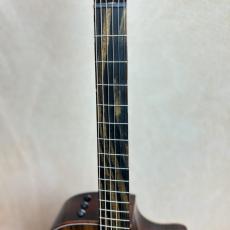 Taylor Custom GA #13027 cocobolo/Shinker 【送料当社負担・最大48回分割無金利】_6
