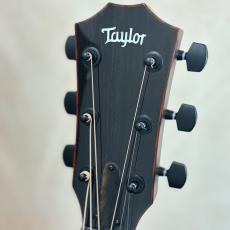 Taylor Custom GA #13027 cocobolo/Shinker 【送料当社負担・最大48回分割無金利】_8