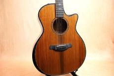 Taylor 【試奏動画あり・ホンジュラスローズ】Builder's Edition 914ce #1202164077【最大48回分割無金利】