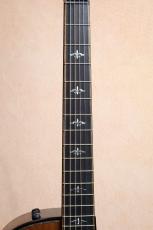 Taylor 【試奏動画あり・ホンジュラスローズ】Builder's Edition 914ce #1202164077【最大48回分割無金利】_4