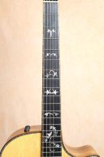 Taylor 【当店限定一点物・ファクトリー選定材】GA Custom プレミアムベアクロウスプルース×ホンジュラスローズ_5