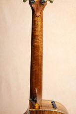 Taylor 【当店限定一点物・ファクトリー選定材】GA Custom プレミアムベアクロウスプルース×ホンジュラスローズ_6