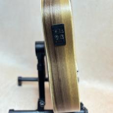 Taylor BT1e 【送料当社負担・最大48回分割無金利】_4