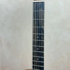 Taylor BT1e 【送料当社負担・最大48回分割無金利】_6