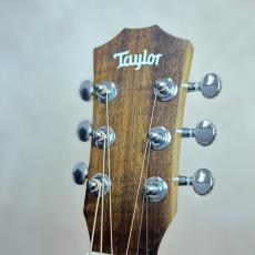Taylor BT1e 【送料当社負担・最大48回分割無金利】_8