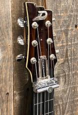 Duesenberg "Fairytale" DLS-FT-GB Lapsteel_4