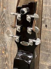 Duesenberg "Fairytale" DLS-FT-GB Lapsteel_6