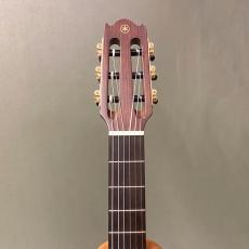 YAMAHA NTX5_6