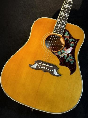 Epiphone 【New】 Inspired by Gibson Custom 1963 Dove Reissue -Natural- 【#25101500082】 