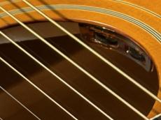 Epiphone 【New】 Inspired by Gibson Custom 1963 Dove Reissue -Natural- 【#25101500082】 _9