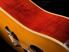 Epiphone 【New】 Inspired by Gibson Custom 1963 Dove Reissue -Natural- 【#25101500082】 _10