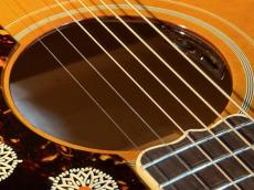 Epiphone 【New】 Inspired by Gibson Custom 1957 SJ-200 Reissue -AntiqueNatural- #25091500863 【2025年製】 _10