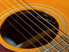 Epiphone 【New】 Masterbilt TEXAN Aged Antique Natural 【#25102301497】 _9