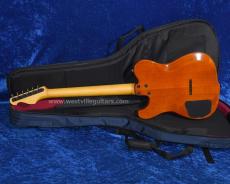 Westville Westel Semi-Hollow (ALD-ALD/C8-AL4)_4