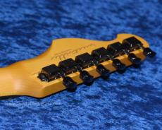 Westville Westel Semi-Hollow (ALD-ALD/C8-AL4)_6