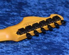 Westville Westville Westel Semi-Hollow (SPR-ALD/C8-AL4)_6