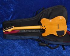Westville Westel Semi-Hollow (ALD-ALD/C8-AL4)_4