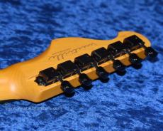 Westville Westel Semi-Hollow (ALD-ALD/C8-AL4)_6