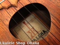 KoAloha [セプター] コンサート ハワイアンコア 2010年代製作/中古委託_11