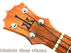 KoAloha [セプター] コンサート ハワイアンコア 2010年代製作/中古委託_13