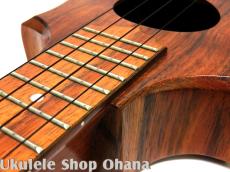 KoAloha [セプター] コンサート ハワイアンコア 2010年代製作/中古委託_15