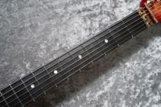 Valley Arts Custom Pro USA 1 Piece Maple Body【1986年製】_4