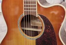 Takamine DMP761C TB_3
