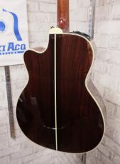 Takamine DMP761C TB_11